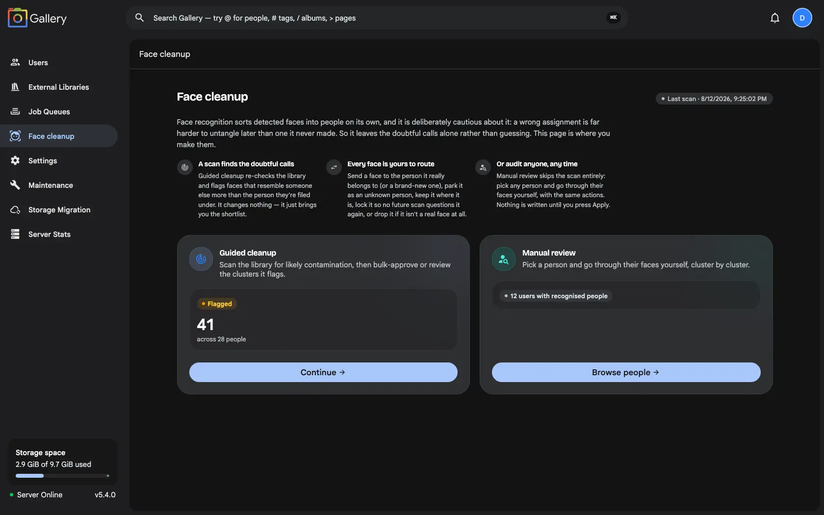 The Gallery Face Cleanup overview, offering a choice between Guided cleanup (41 flagged faces) and Manual review across 12 users with recognised people