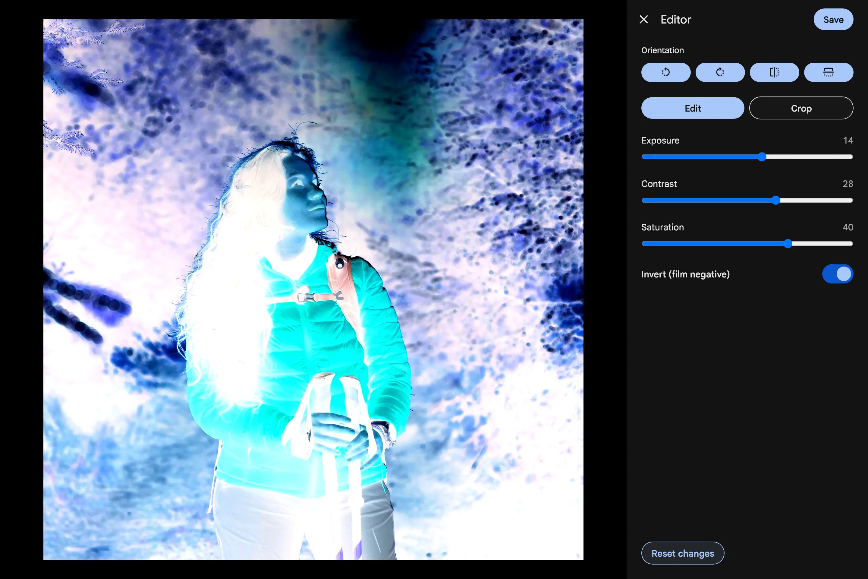 The same photo with Invert switched on, turning it into a film negative